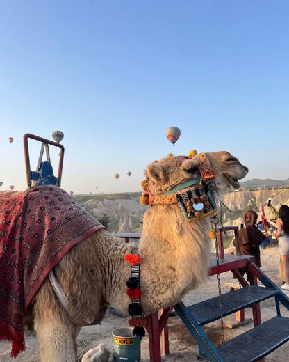 Kapadokya'da yapılan deve turları