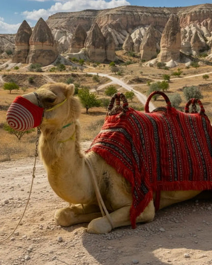 Kapadokya deve turunun yapıldığı vadiler ve peri bacaları